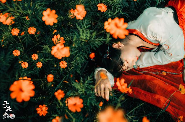 清灵梦想练丹药全文,小说清灵梦想