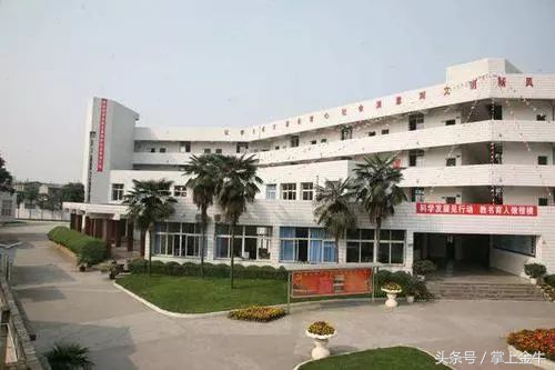 金牛实验中学怎么就读,金牛区实验中学简介