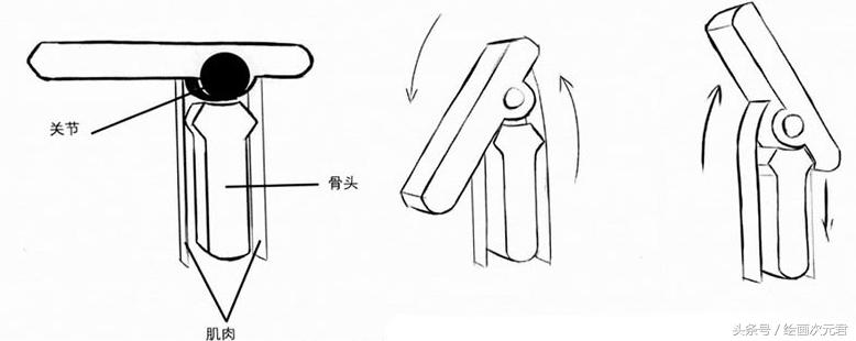 人体结构怎么画?教你如何绘画人体动态的技巧!