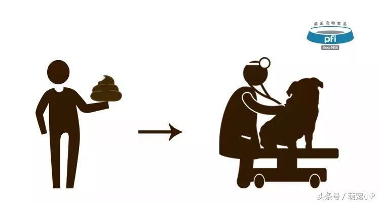 狗狗身体健康但是精神状态不好,狗狗便便健康的应该是什么颜色