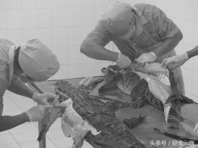 珍稀鳄鱼皮包,鳄鱼皮奢侈包