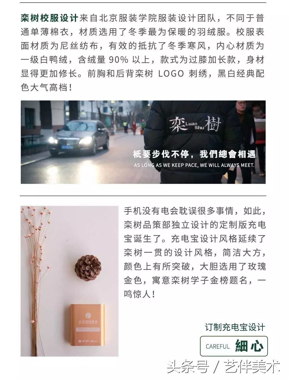 栾树画室价格一览表,栾树画室北京