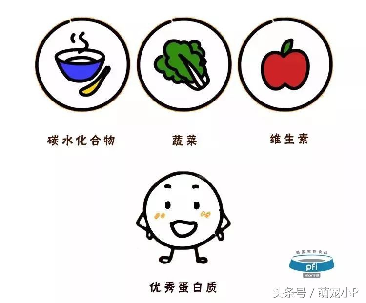 狗狗身体健康但是精神状态不好,狗狗便便健康的应该是什么颜色