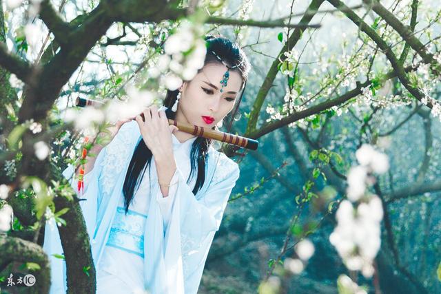 白莲花vs绿茶婊的小说,白莲花绿茶婊小说推荐