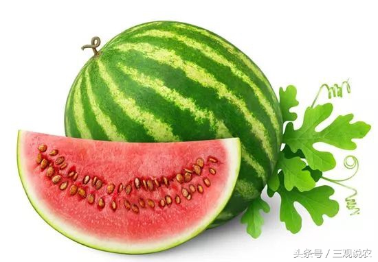 农药哒螨灵,哒螨灵农药有几点功能