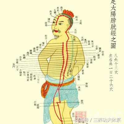 讲解伤寒杂病论视频,伤寒论太阳病篇讲解