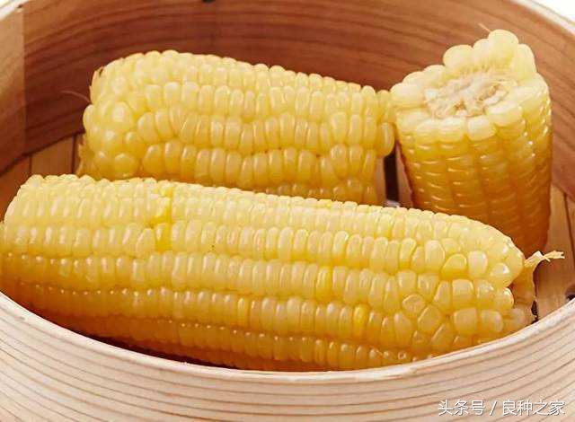 餐桌上常见的本土作物是什么,10种常见的粮食作物