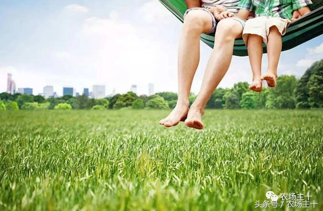 休闲农庄7大盈利模式,休闲农庄有什么前景吗