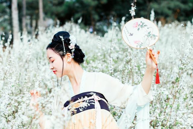 小说：狐狸为寻记忆，去冥界寻醒神汤。神汤却被一只凤凰打翻。