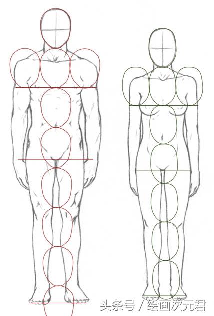 人体结构怎么画?教你如何绘画人体动态的技巧!