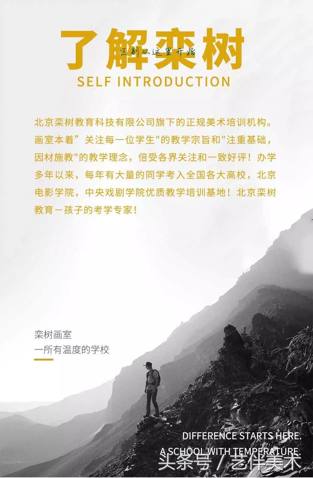 栾树画室——2020届招生简章北京必看画室之一