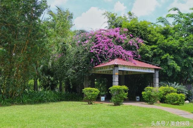 一个人的旅行海南攻略,一次难忘的海口旅游