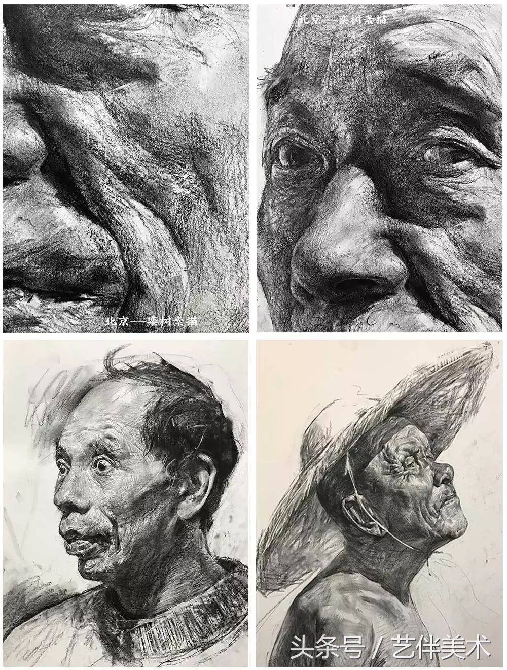 栾树画室北京,栾树画室有集训吗