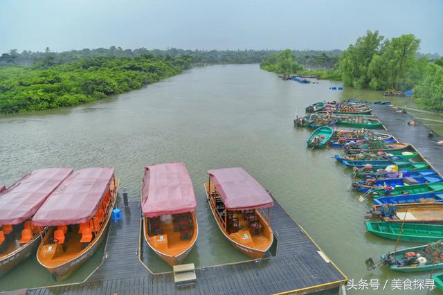 一个人的旅行海南攻略,一次难忘的海口旅游