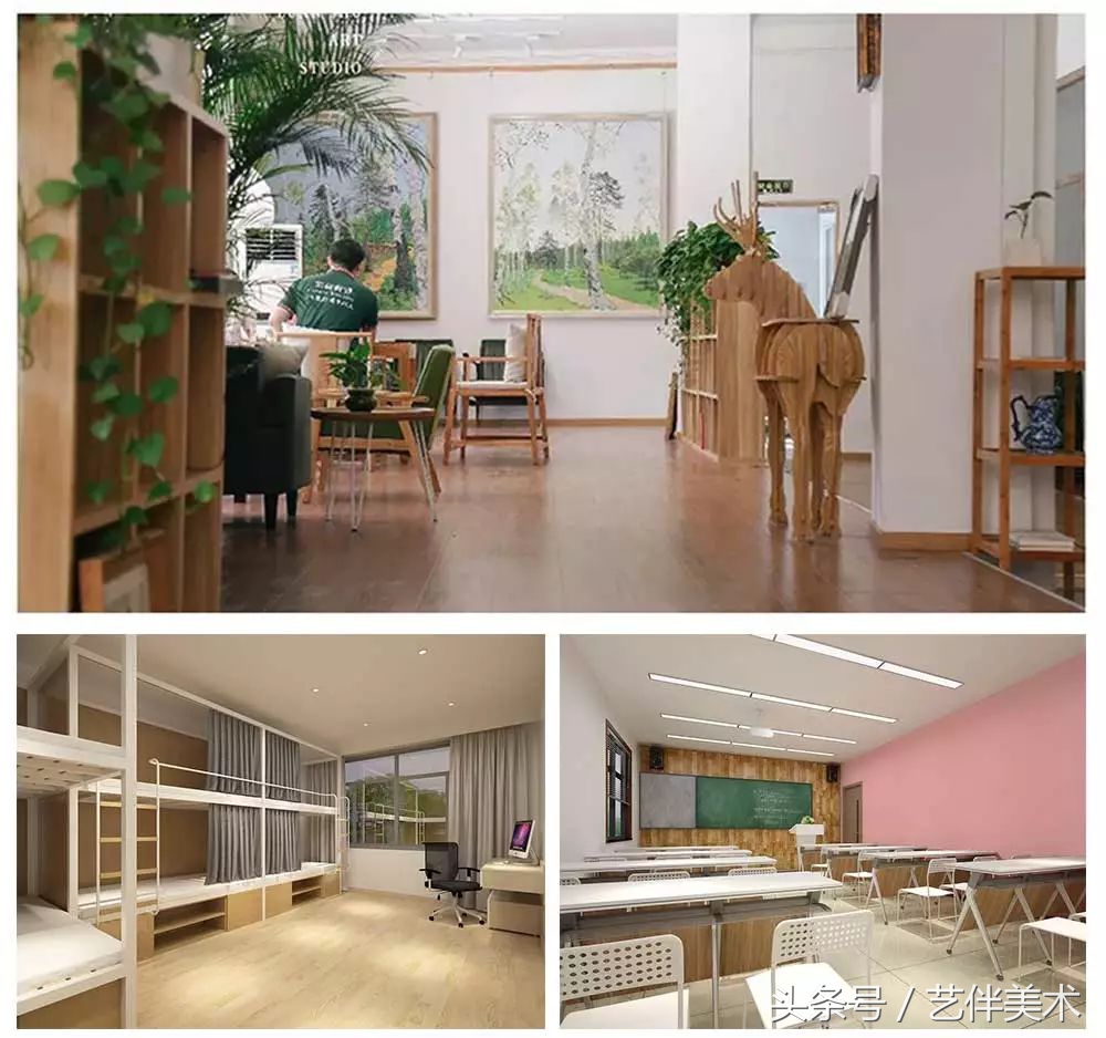 栾树画室——2020届招生简章北京必看画室之一