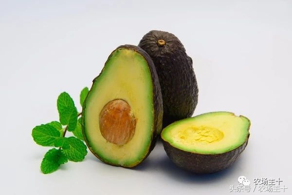 牛油果这么难吃，怎么变成大爆款？这可能是最成功的*脑洗**型营销