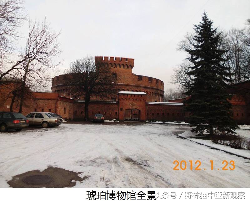 野林猫之-俄罗斯琥珀之都探秘