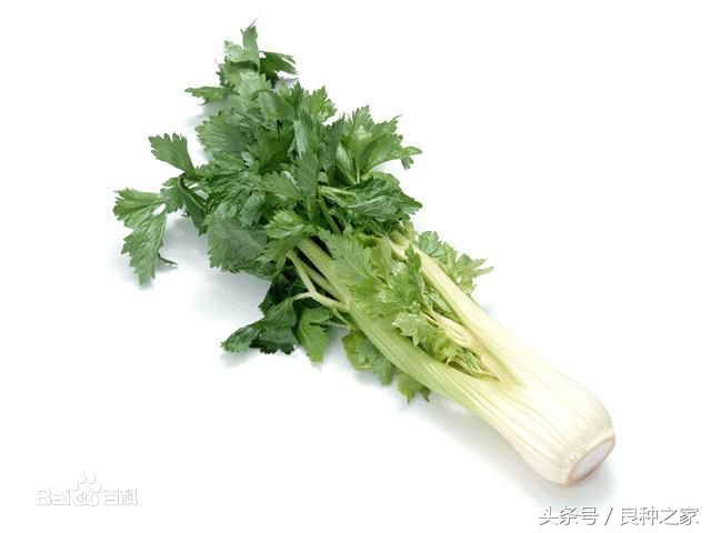 餐桌上常见的本土作物是什么,10种常见的粮食作物