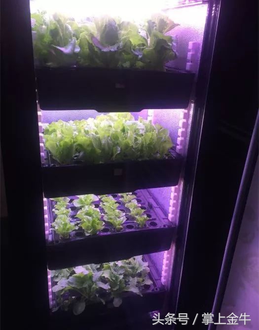 周末,与南门这条民国美食巷来场约会吧!