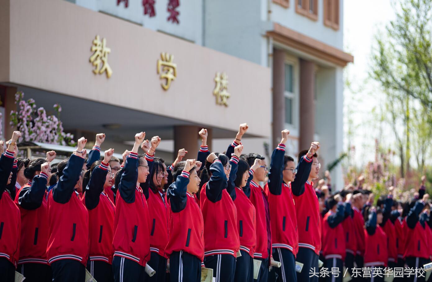 英华实验学校普通高中部,英华学校招生简章在哪看