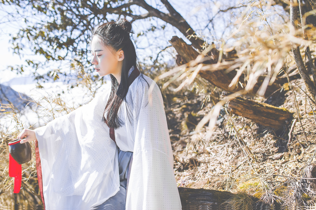 小说：拍卖会出现魂晶，全场轰动，高级身法出现后全场都疯了