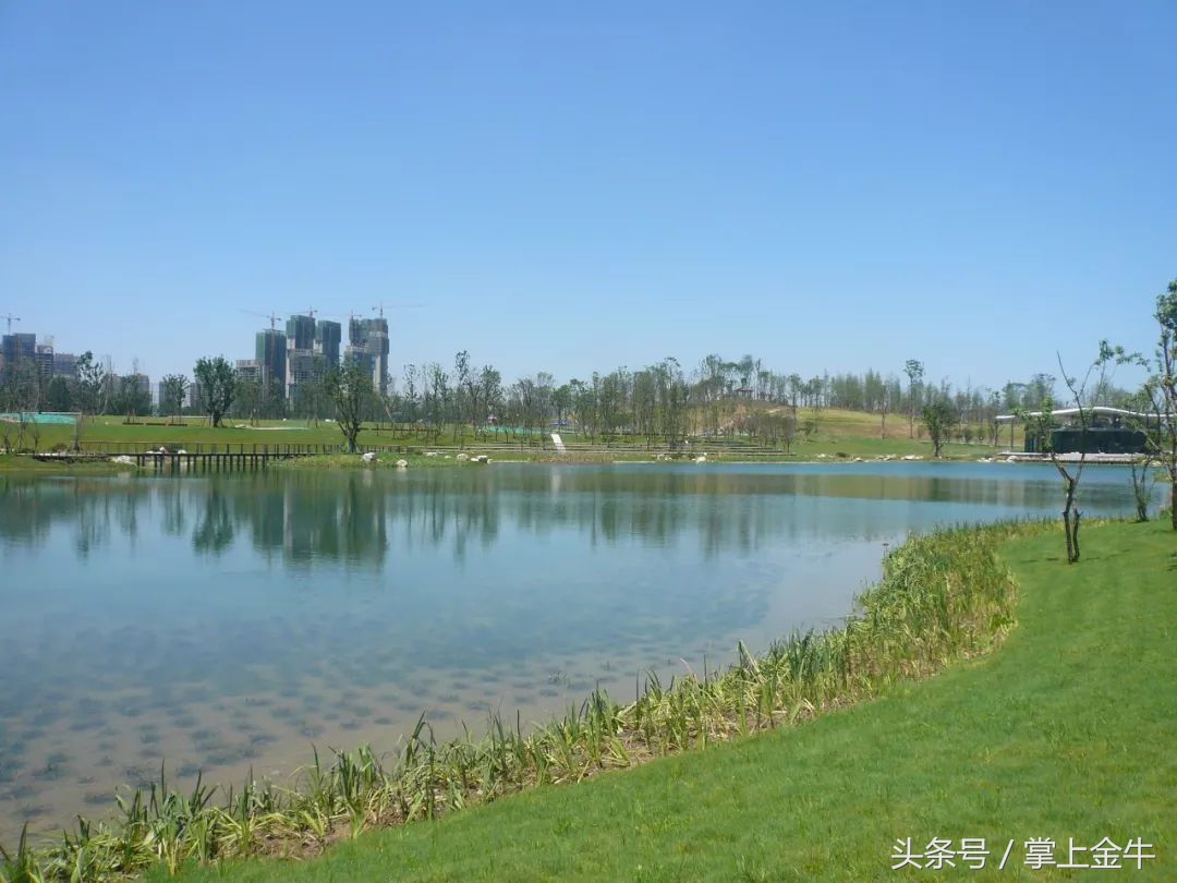 成都网红打卡地免费公园,成都文化公园免费