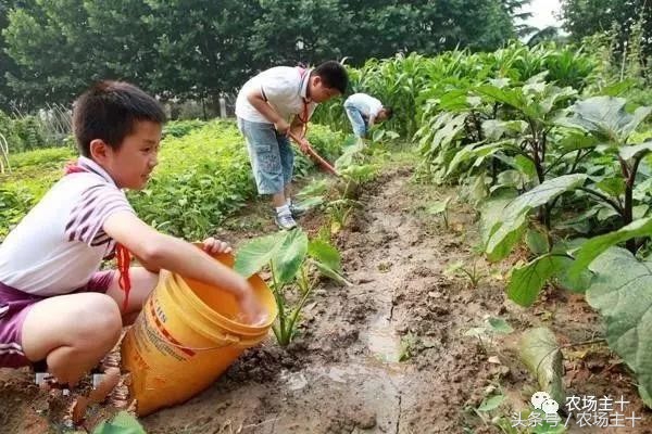 休闲农庄7大盈利模式,休闲农庄有什么前景吗