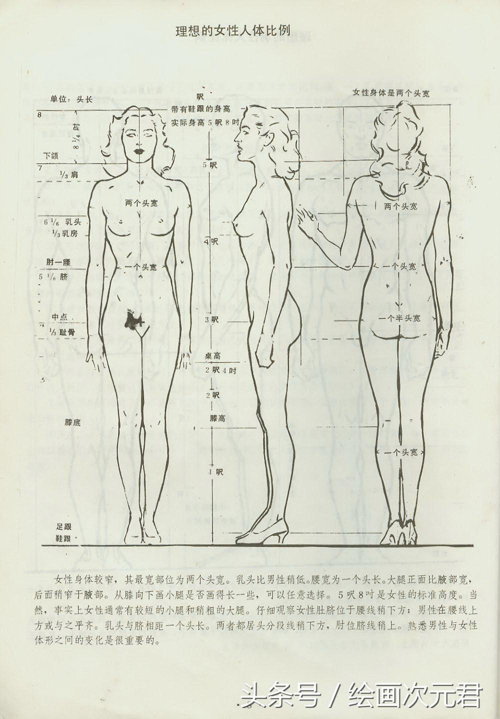 人体结构怎么画?教你如何绘画人体动态的技巧!