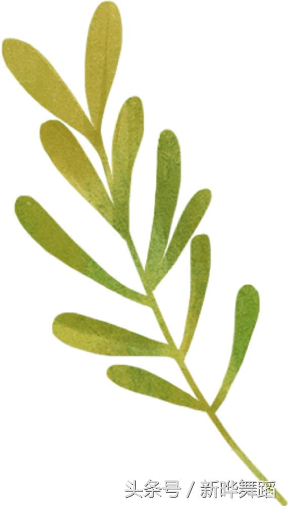 学习爵士舞的好处儿童,学习爵士舞的好处图片