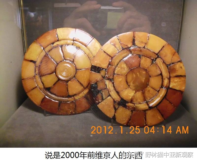 野林猫之-俄罗斯琥珀之都探秘