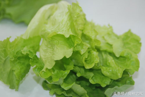 餐桌上常见的本土作物是什么,10种常见的粮食作物