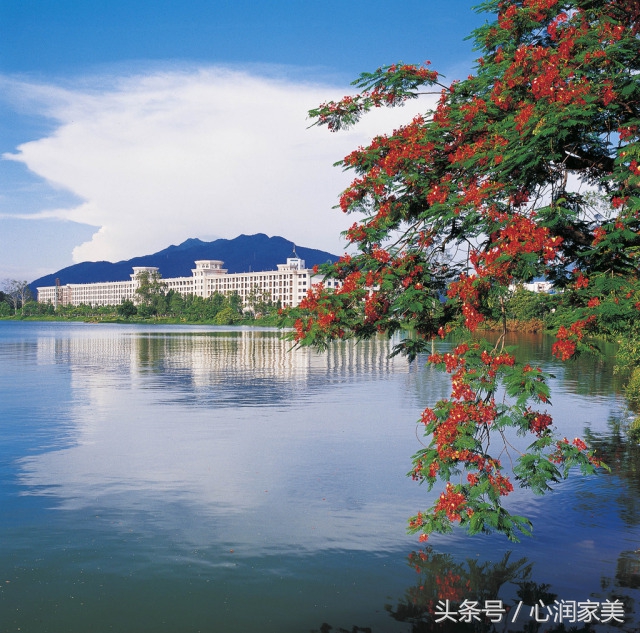 心理咨询求助方式有哪些,心理咨询求助简短对话