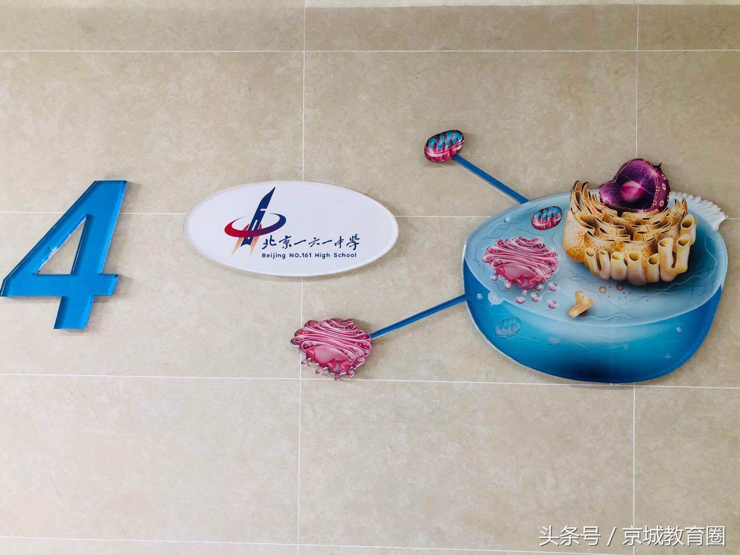 西城161中学落户,西城161中学