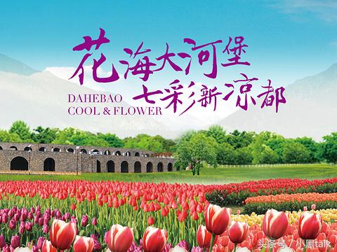 老罗演讲理想主义者,老罗理想主义者的故事