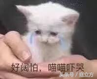 邻居精神有问题太吵闹怎么办,邻居精神有问题怎么解决