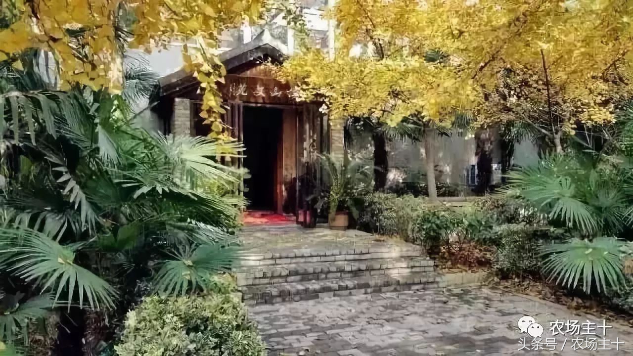 休闲农庄7大盈利模式,休闲农庄有什么前景吗