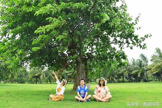 一个人的旅行海南攻略,一次难忘的海口旅游