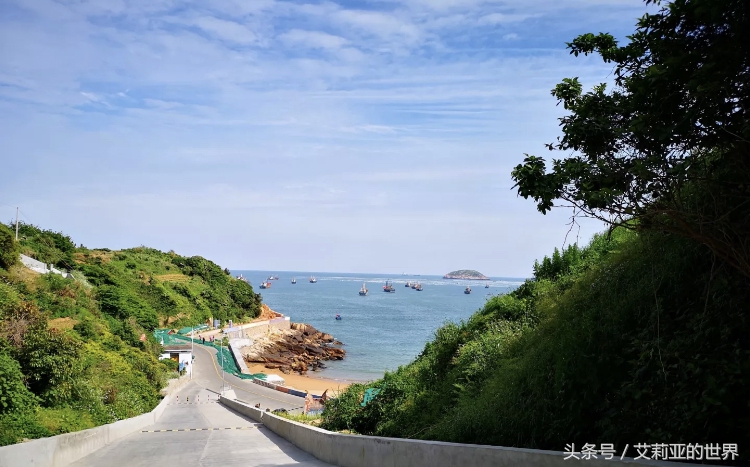 生活不止杯中的枸杞还有诗和远方 (生活不止有诗和远方 还有枸杞)