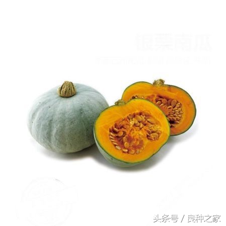 餐桌上常见的本土作物是什么,10种常见的粮食作物