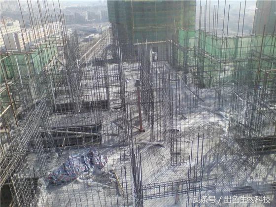 鍑鸿壊鍗冮噾灏忚鍚庣画,鍑鸿壊鍗冮噾灏忚缁撳眬