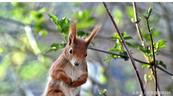 怎么评价孙少安和孙少平,如何评价孙少安