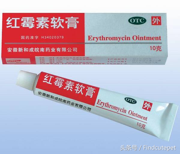 养狗需要准备什么药物,养狗必备3种常用药物图片