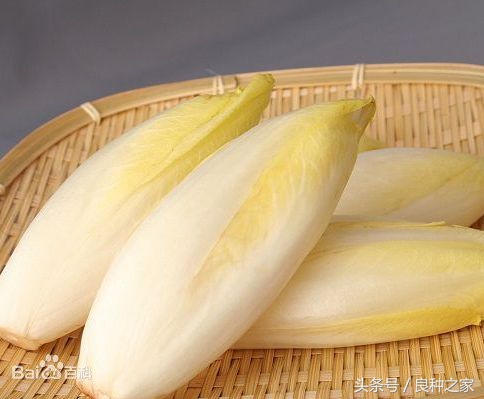 餐桌上常见的本土作物是什么,10种常见的粮食作物