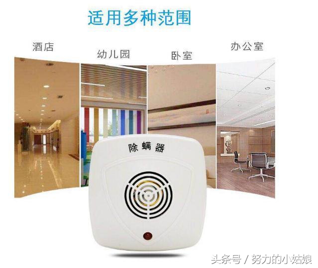 头上为什么会有螨虫?阿婆用一勺盐祛螨,千万螨虫落荒而逃