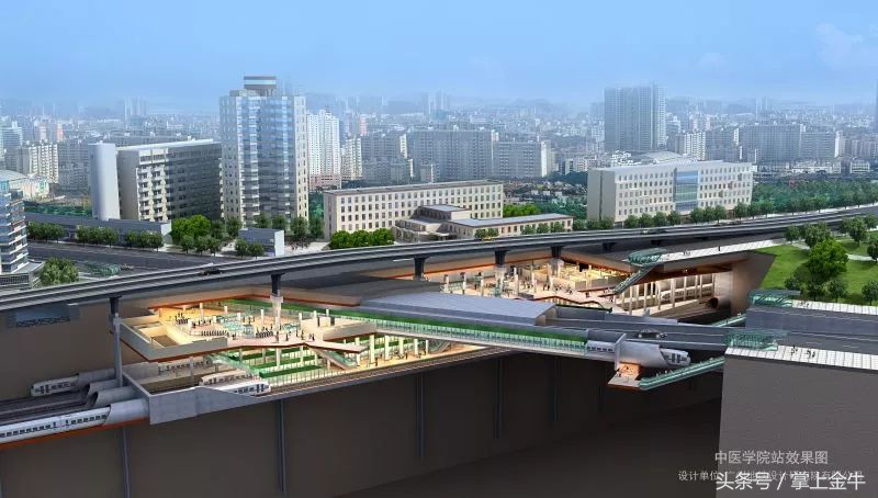 中医医院效果图大全,中医诊所效果图大全