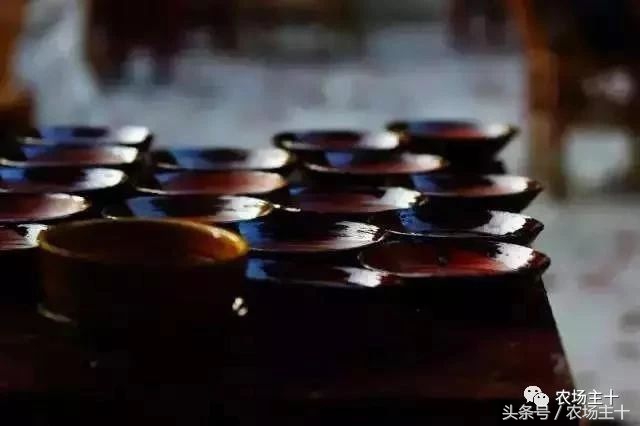 休闲农庄7大盈利模式,休闲农庄有什么前景吗