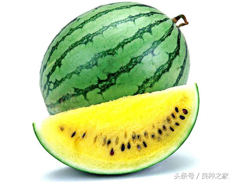 餐桌上常见的本土作物是什么,10种常见的粮食作物