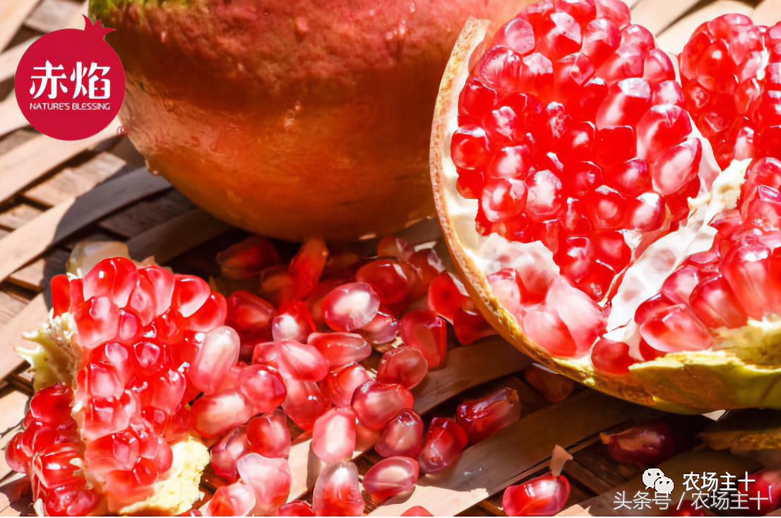 农产品众筹方案,为什么众筹没了