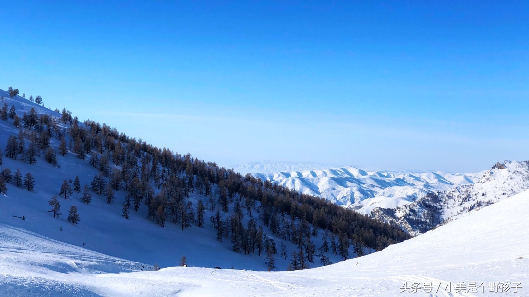 新疆新和县滑雪场,阿勒泰滑雪场野雪