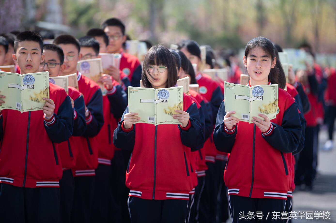 英华实验学校普通高中部,英华学校招生简章在哪看